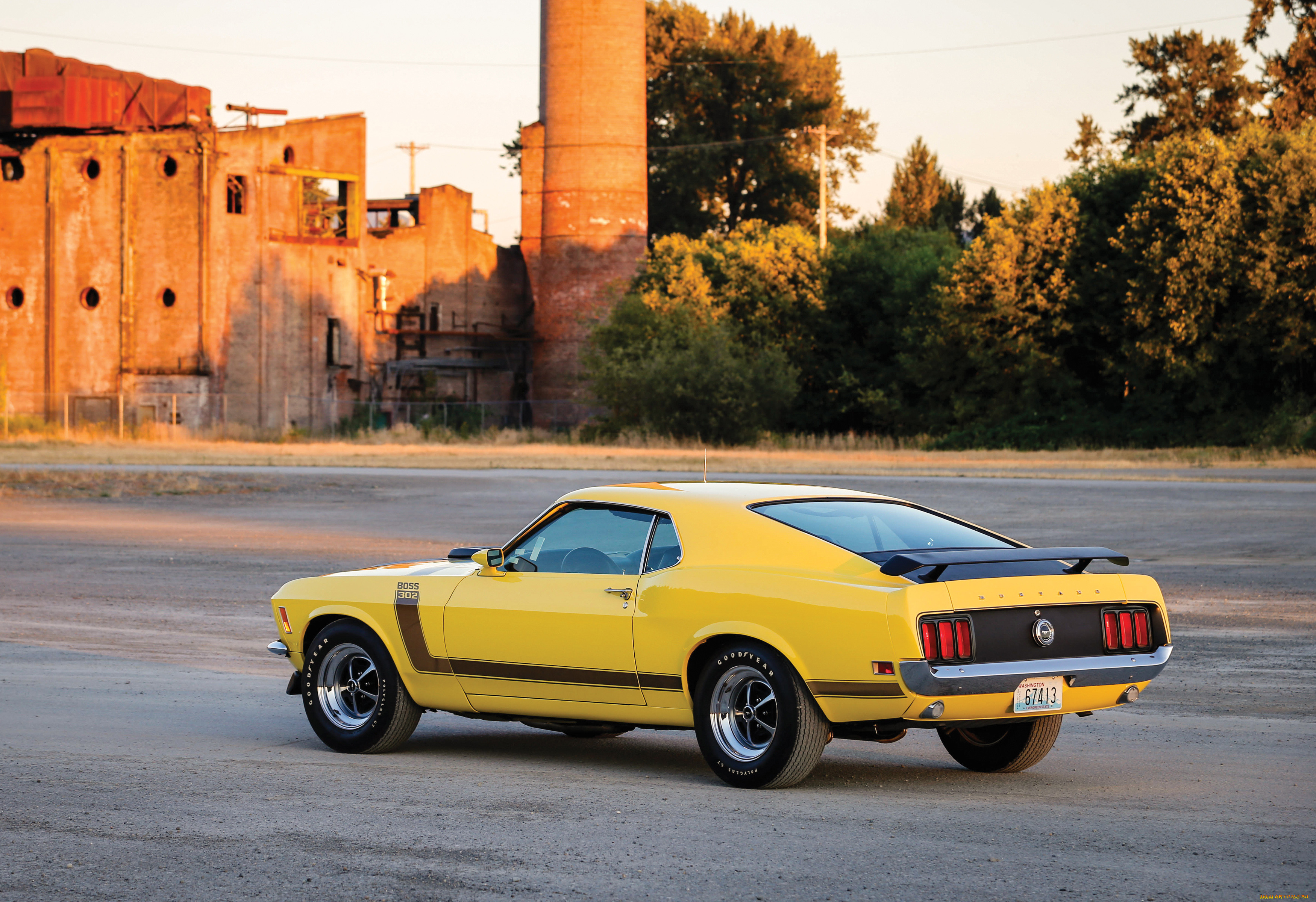 , mustang